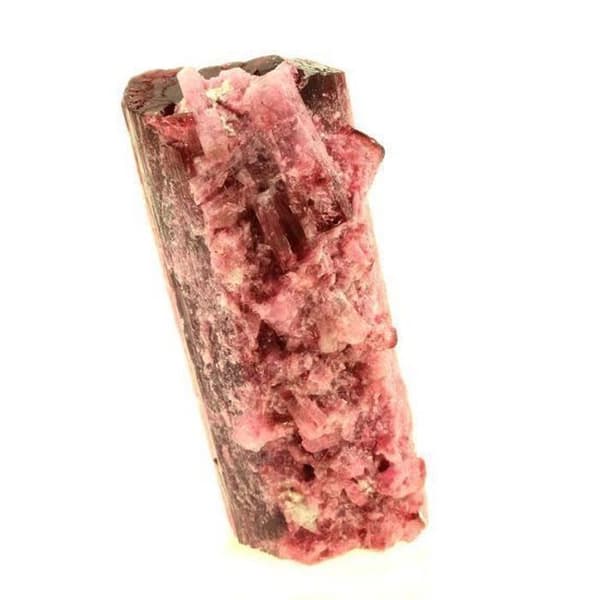 Turmalin Rubellite - ABIJOUX - 328,0 ct - Cruzeiro-gruvan - Äkthetsintyg - Rosa