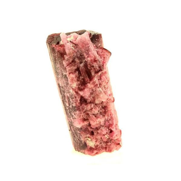Turmalin Rubellite - ABIJOUX - 328,0 ct - Cruzeiro-gruvan - Äkthetsintyg - Rosa
