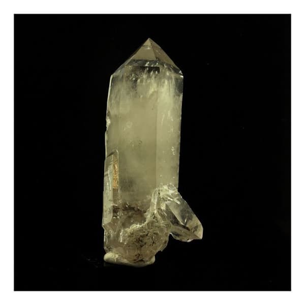 Quartz Fumé - ABIJOUX - 163,0 ct - Svart - Mixte - Äkthetscertifikat