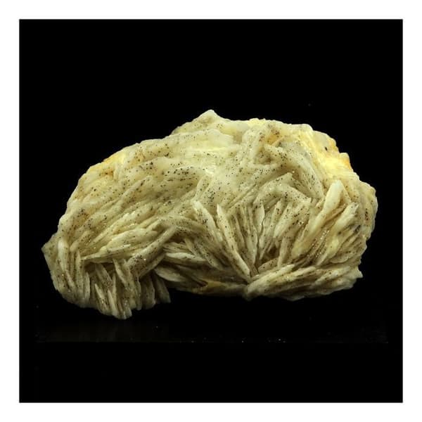 Stenar och mineraler - ABIJOUX - Barite - 328,0 ct - Les Cèdres, Saint-Laurent-le-Minier, Occitanie, Frankrike