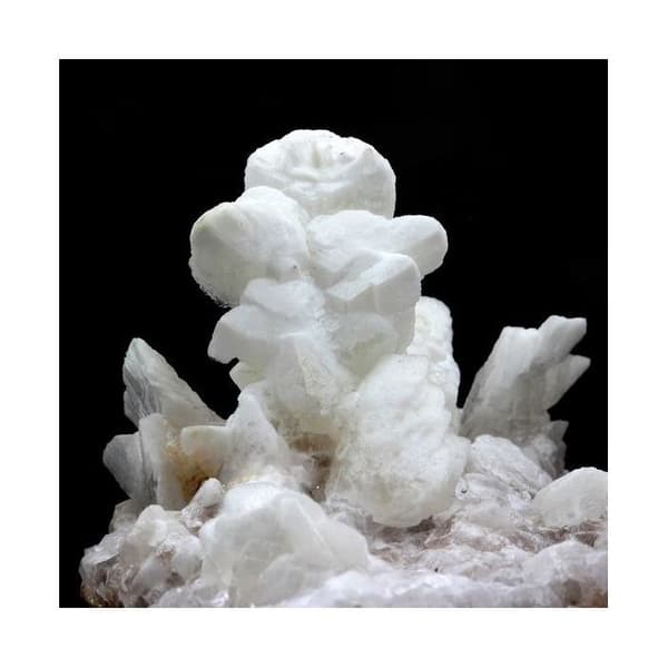 Calcit efter Selenit - ABIJOUX - 1429,0 ct - Vit - Kristall - Blandad