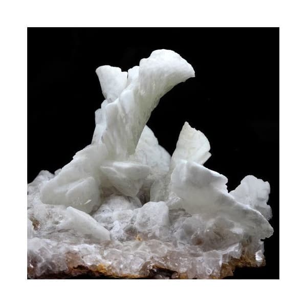Calcit efter Selenit - ABIJOUX - 1429,0 ct - Vit - Kristall - Blandad