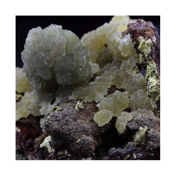 Kristall - ABIJOUX - Austinite - 555.0 ct - Grön - Ojuela-gruvan, Mexiko