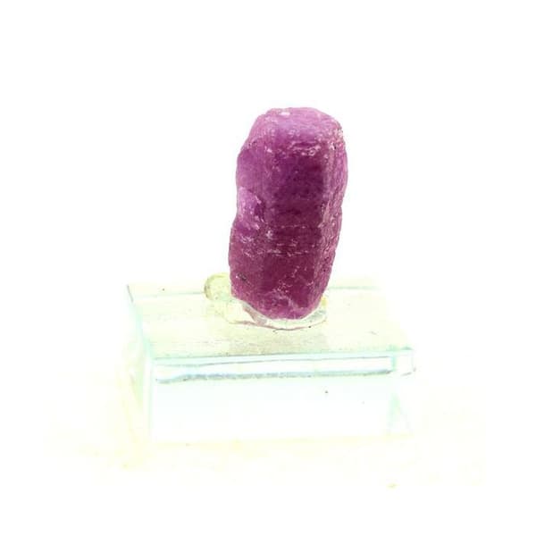 Ruby - ABIJOUX - Madagaskar - 67.74 ct - Naturmaterial - Röd