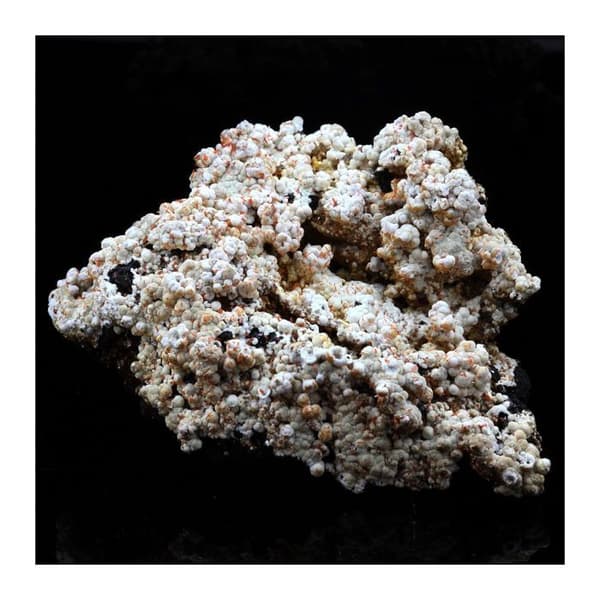 Kristall - ABIJOUX - Dundasite, Crocoit - 386,5 ct - Kapi-gruvan, Tasmanien - Röd