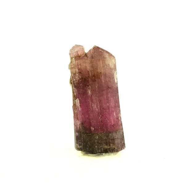 Stenar och Mineraler - ABIJOUX - Turmalin - 11.60 ct - Grå - Äkthetscertifikat