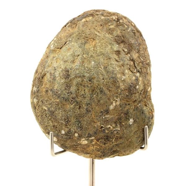Pierre - ABIJOUX - Biotit - 526,0 ct - Freita Mountain - Äkthetsintyg
