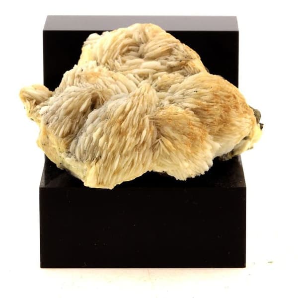 Stenar och mineraler - ABIJOUX - Barite - 718.0 ct - Les Cèdres, Saint-Laurent-le-Minier, Frankrike