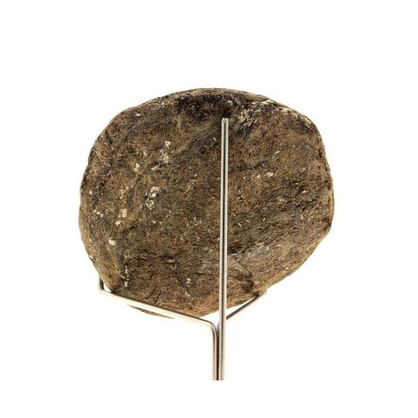 Stenar och Mineraler - ABIJOUX - Biotit - 502,5 ct - Freita Mountain, Portugal
