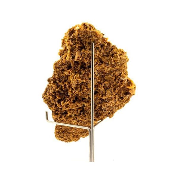 Kristall - ABIJOUX - Wulfenit - Orange - 1089.30 ct - Sidi Amer, Marocko