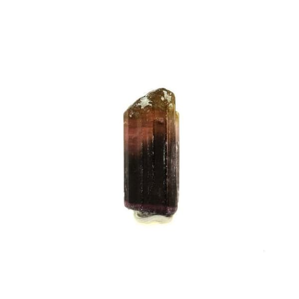 Stenar och Mineraler - ABIJOUX - Turmalin - 10.87 ct - Grå - Äkthetcertifikat