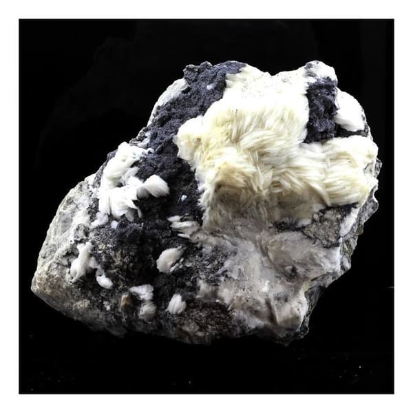 Pierre - Baryt - Sphalerit - 2567 ct - Äkthetscertifikat - Occitanie