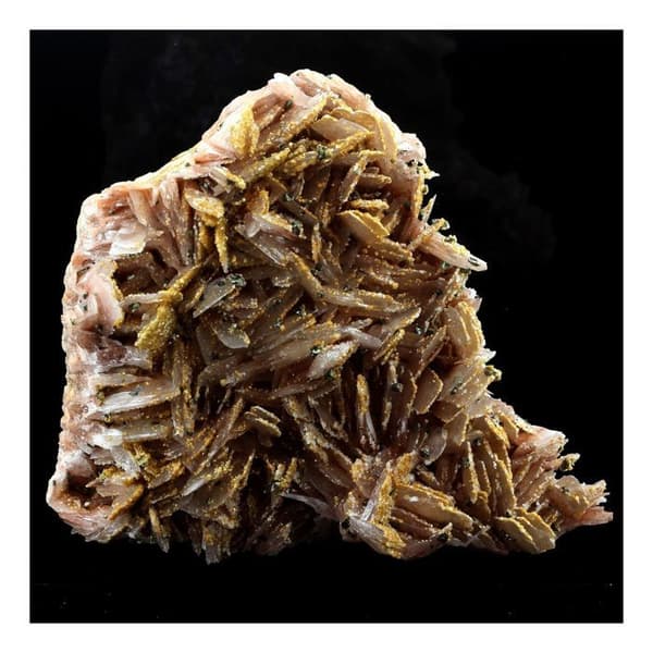 Stenar och Mineraler - ABIJOUX - Baryt + Pyrit - 3610 ct - Äkthetscertifikat - Marocko