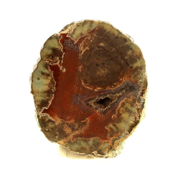 Lithophysis - ABIJOUX - Esterel Massif Var Frankrike - 87,5 ct - 32 x 26 x 15 mm