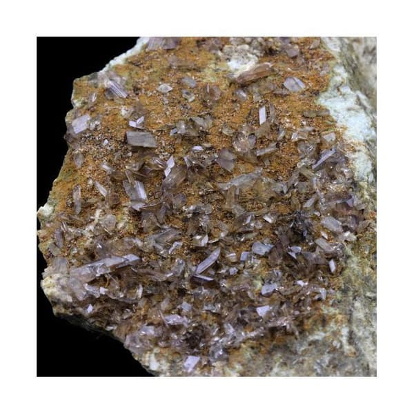Pierre - Axinite - 745.5 ct - La Balme d'Auris - Äkthetscertifikat - Dimensioner 90x50x25 mm
