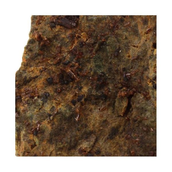 Stenar och mineraler. Perovskite + Vesuvianit. 73,5 cent. Rocher de Farinole, Olmeta-di-Capocorso, Haute-Corse, Frankrike.