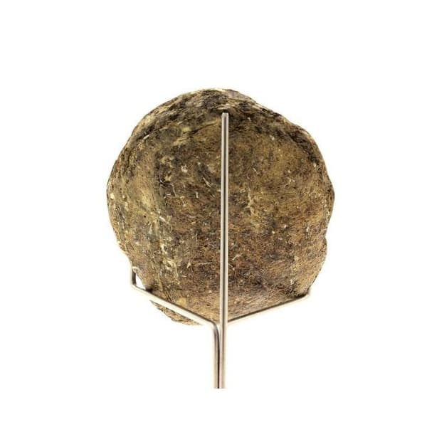 Cristal - ABIJOUX - Biotit - Svart - 395 ct - 65x50x16 mm