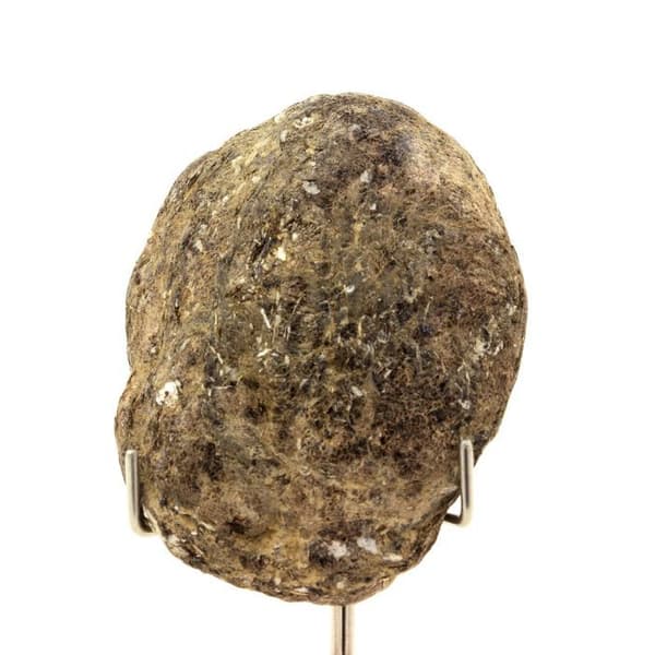 Cristal - ABIJOUX - Biotit - Svart - 395 ct - 65x50x16 mm