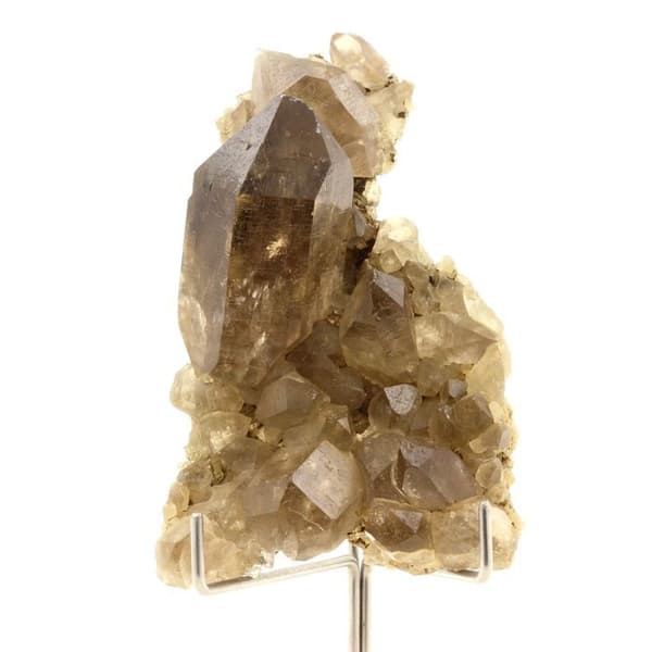 Rökkvarts - ABIJOUX - 292,5 ct - Mont-Blanc-massivet - Aiguille de l'Éboulement - Frankrike