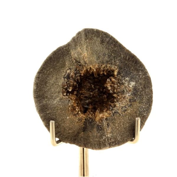 Stenar och mineraler - ABIJOUX - Septaria, Barite - Naturmaterial - Blandat