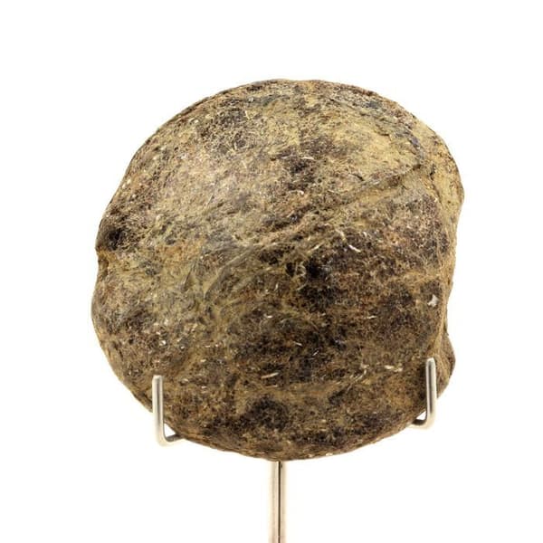 Pierre - ABIJOUX - Biotit - 460,5 ct - Freita Mountain - Äkthetscertifikat
