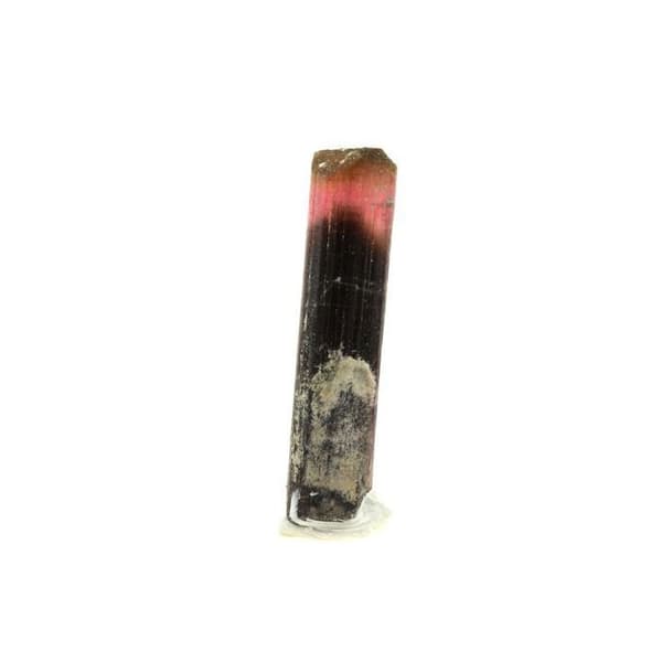 Stenar och Mineraler - ABIJOUX - Turmalin - 6.07 ct - Grå - Äkthetscertifikat