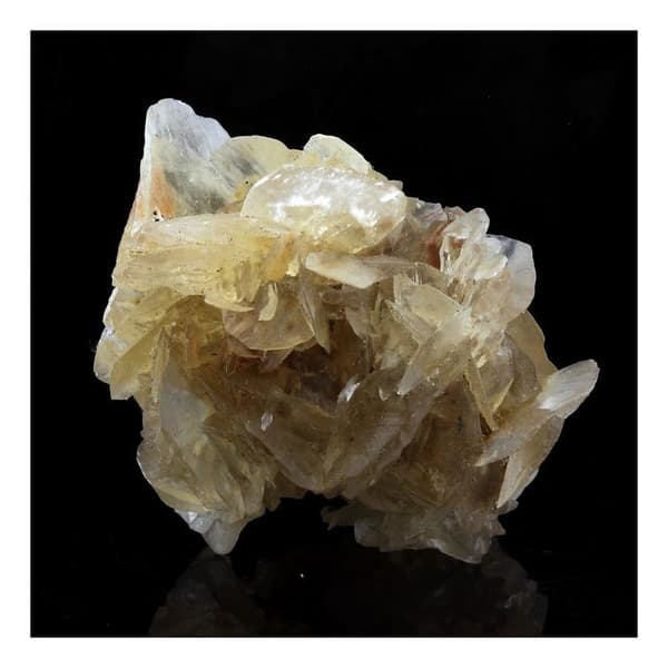 Stenar och mineraler - ABIJOUX - Gips - Vit - Blandat