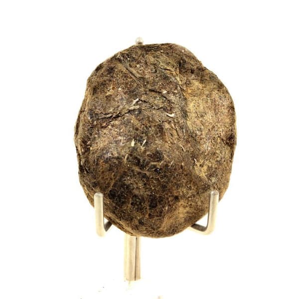 Stenar och mineraler - ABIJOUX - Biotit - 68,47 ct - Freitaberget, Arouca, Aveiro, Portugal