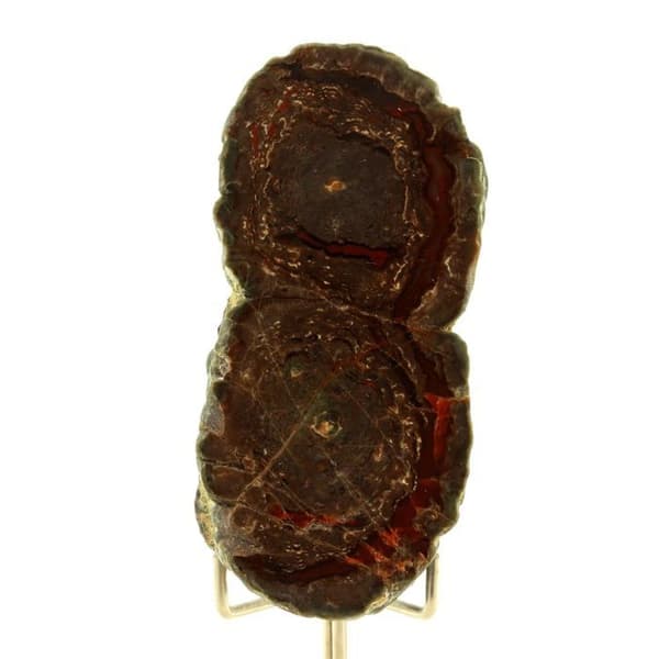 Litofys - ABIJOUX - Esterelmassiv - 349,0 ct - 70 x 30 x 20 mm