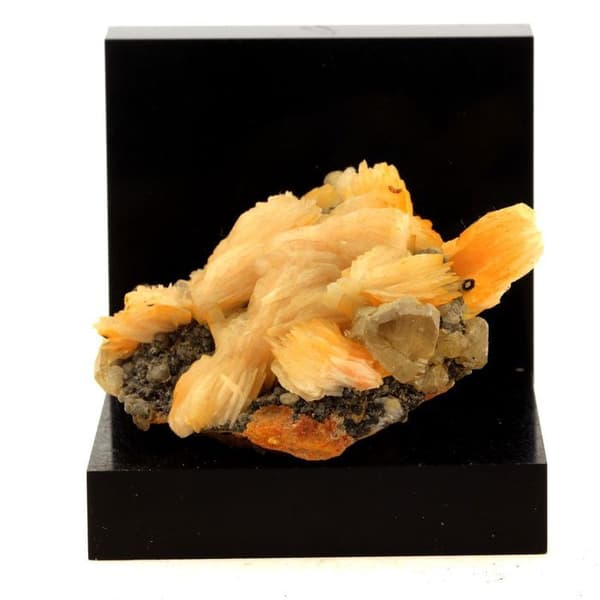 Pierre - ABIJOUX - Cerusit + Barit - 280,0 ct - Mibladen, Marocko