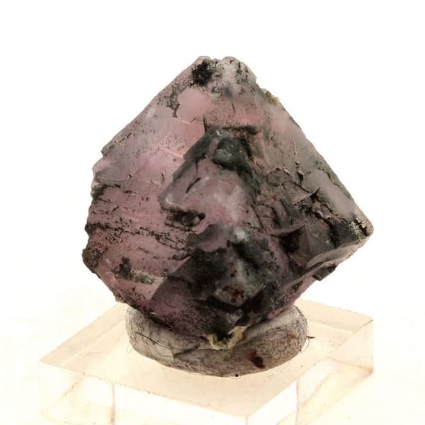 Kristall - ABIJOUX - Rosenfluorit - 136,2 ct - Mont-Blanc-massivet - Äkthetscertifikat