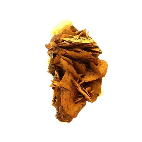 Stenar och Mineraler - ABIJOUX - Siderit - 301.0 ct - Äkthetsintyg - Grå