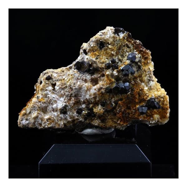 Stenar och mineraler - ABIJOUX - Pyrit + Kalcit + Dolomit - 54,0 ct - Lamalou-les-Bains, Hérault, Frankrike