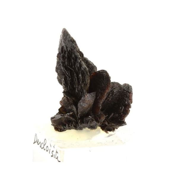 Kristall - ABIJOUX - Stones and Minerals Descloizite - 107.8 ct - Berg Aukas Mine Otjozondjupa Namibia