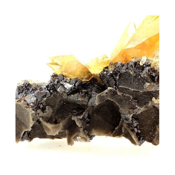 Stenar och Mineraler - ABIJOUX - Kalcit + Sphalerit - 2237 ct - Elmwood gruva - Certifikat för äkthet