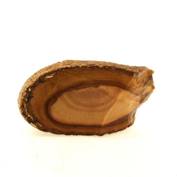 Stenar och mineraler - ABIJOUX - Jaspis - 177.35 ct - Egypten