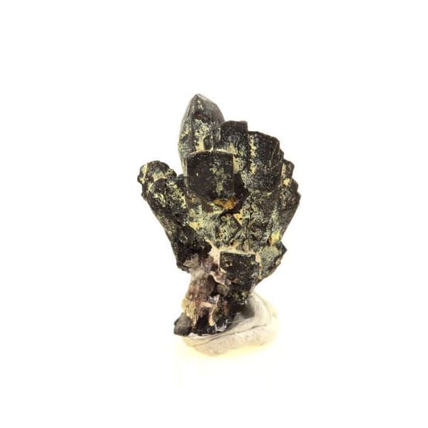 Columbit - ABIJOUX - 50,88 ct - Zirkoniumoxid - Grå - Äkthetscertifikat
