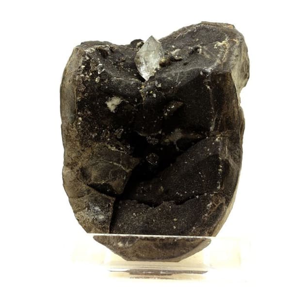 Septaria - ABIJOUX - Col du Fau, Isère, Frankrike - 1440.0 ct - Naturmaterial - Blandat