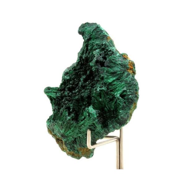 Stenar och Mineraler - ABIJOUX - Malakit - 335,0 ct - Katanga, Kongo - Äkthetscertifikat