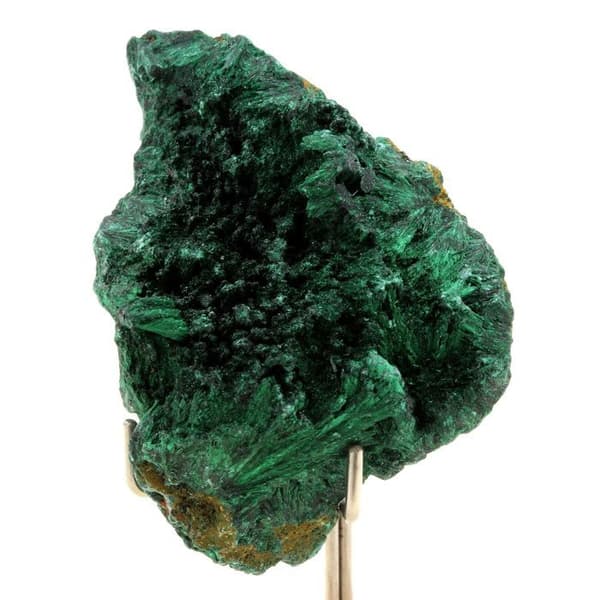 Stenar och Mineraler - ABIJOUX - Malakit - 335,0 ct - Katanga, Kongo - Äkthetscertifikat