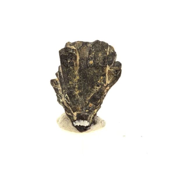 Stenar och Mineraler - ABIJOUX - Kolumbit - 87.79 ct - Autenticitetsintyg - Madagaskar