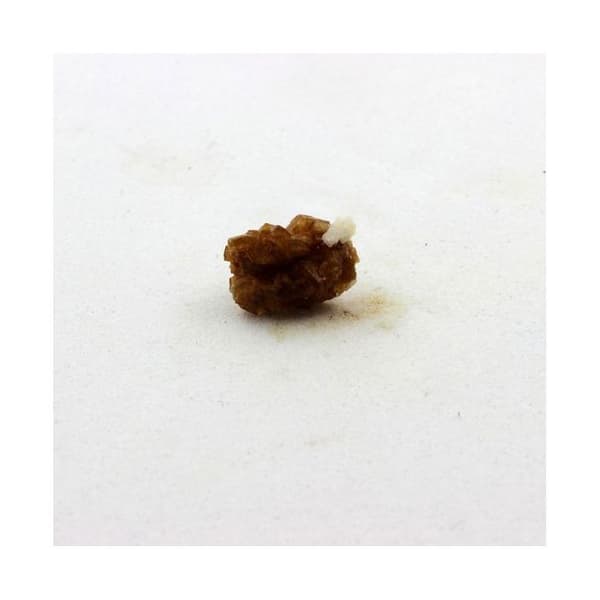 Stenar och Mineraler - Bastnäsite - Dolomit - 2.35 ct - Äkthetsintyg - 9x6x5 mm