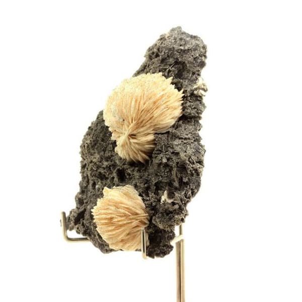 Baryt - Les Cèdres - 480,30 ct - Äkthetscertifikat - Dimensioner 78x61x28 mm - Grå
