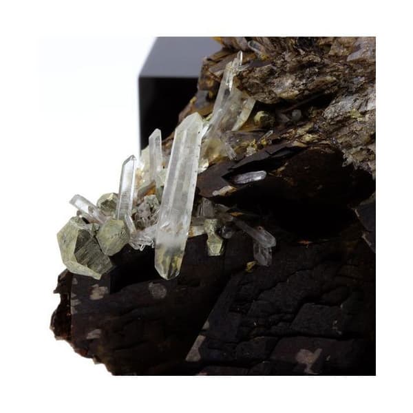 Siderit, Kvarts, Pyrit 578,8 karat