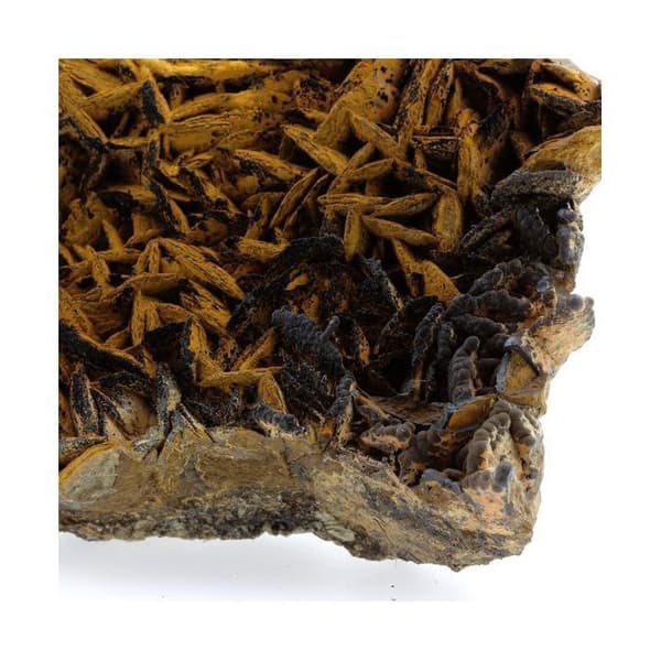 Pyrolusite och Goethite på Siderite 2140,1 karat