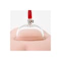 Miniatyrbillede 9 af 11: Penispumpe Blush Temptasia Sort