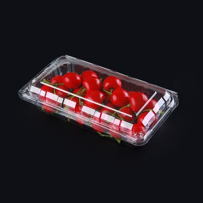 Matbehållare med lock 20x10,5x4,5cm - 10-pack
