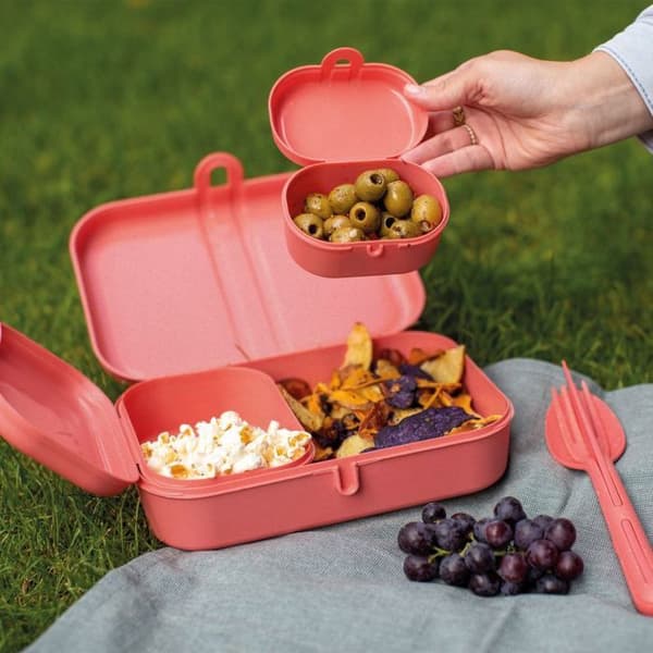 Lunchbox - Koziol matlåda PASCAL READY, set med 3 behållare och bestick