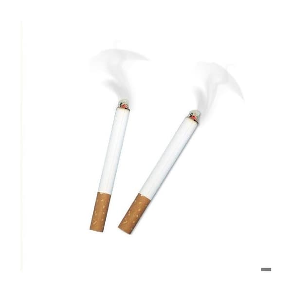 2 falska rökeffektcigaretter - Prank and catch - Skämttillbehör