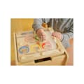 Miniatyrbillede 2 af 6: MASTERKIDZ Magnetisk labyrint Farve Sortering Spil EDU